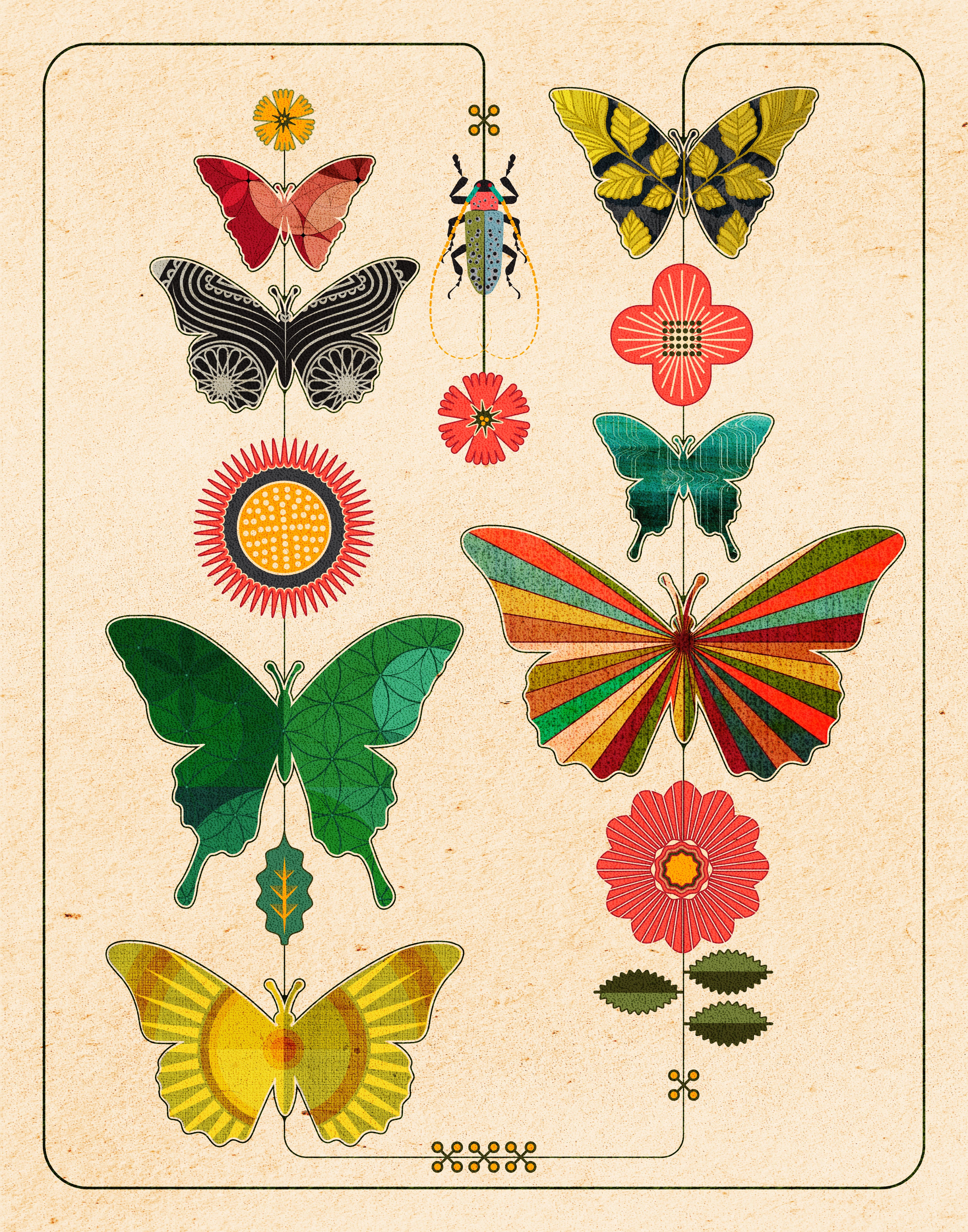 Butterfy8.jpg?v=1768748381