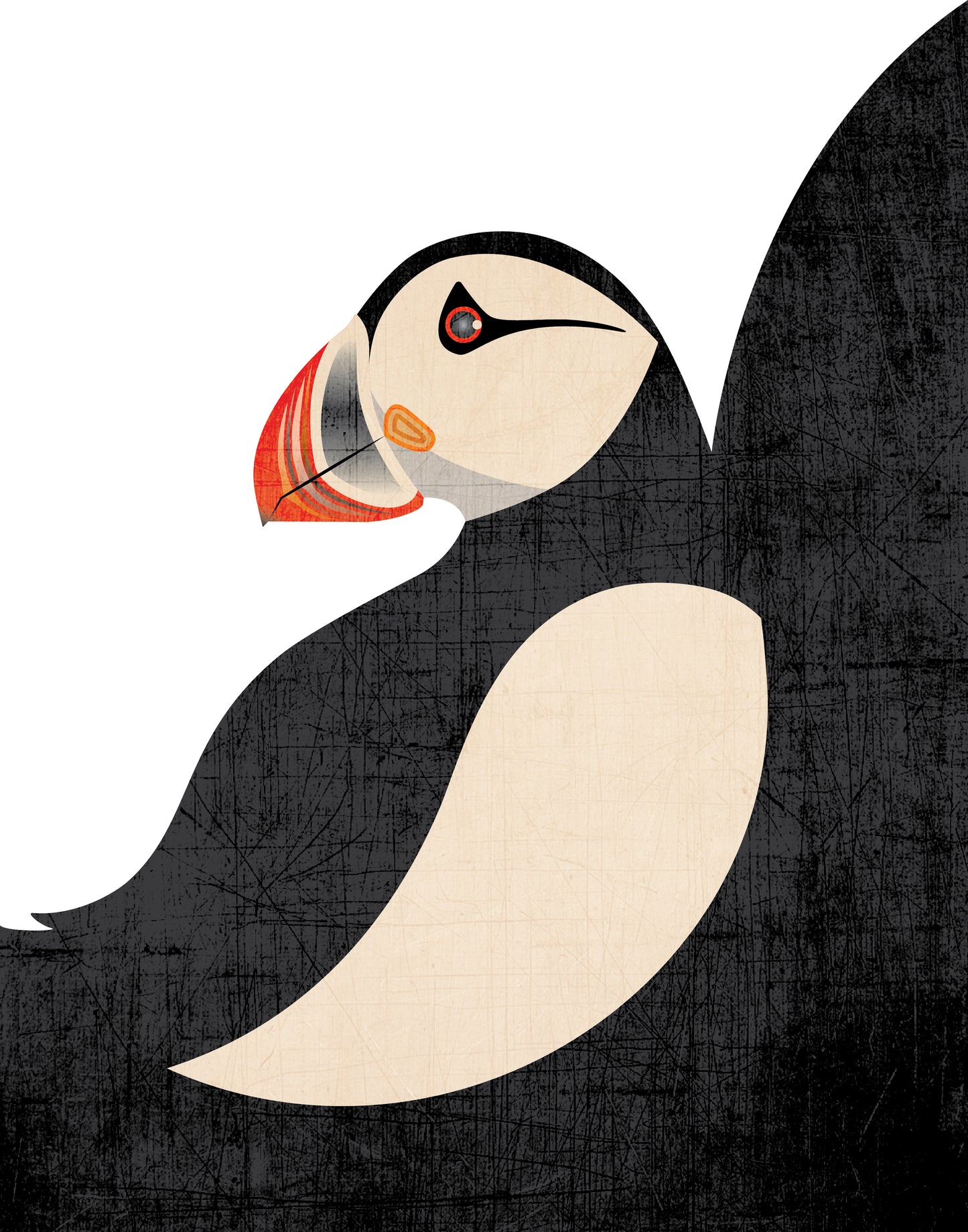 Puffin