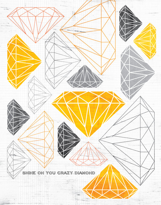 Pink Floyd / Shine On You Crazy Diamond