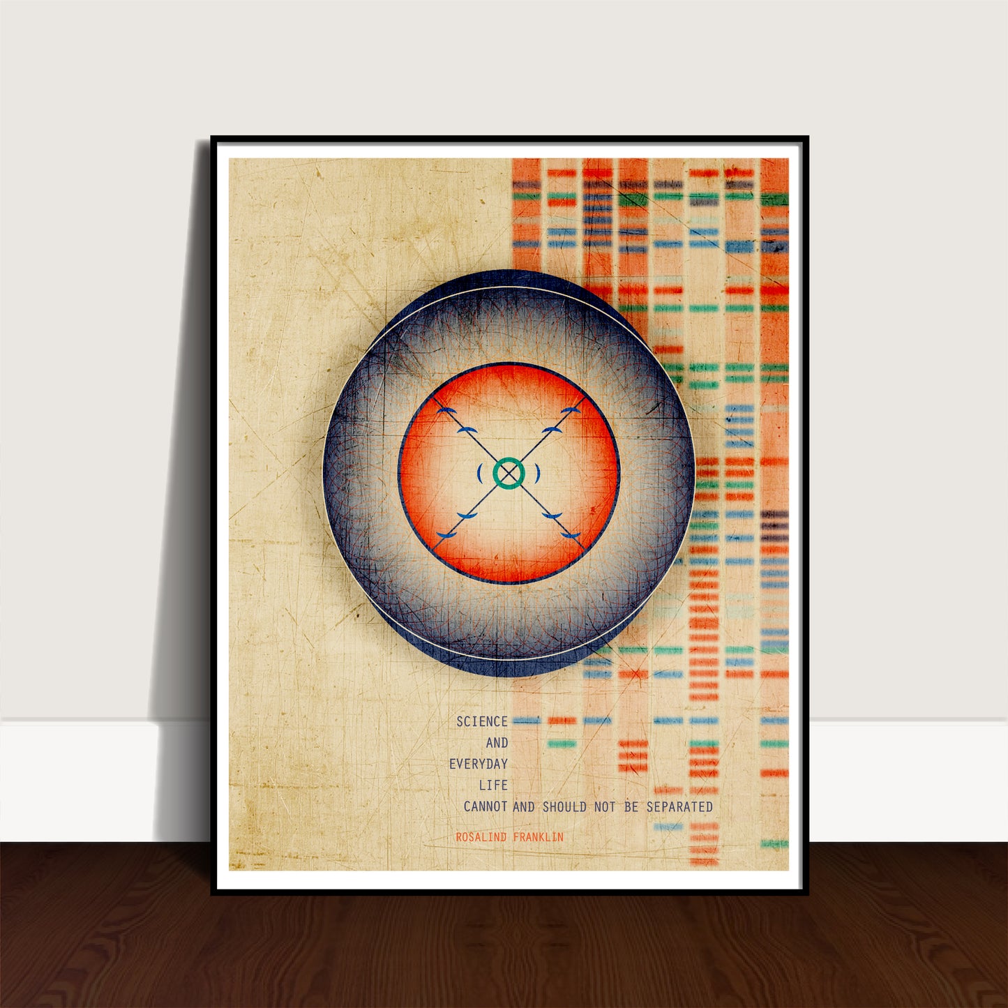 Rosalind Franklin Quote