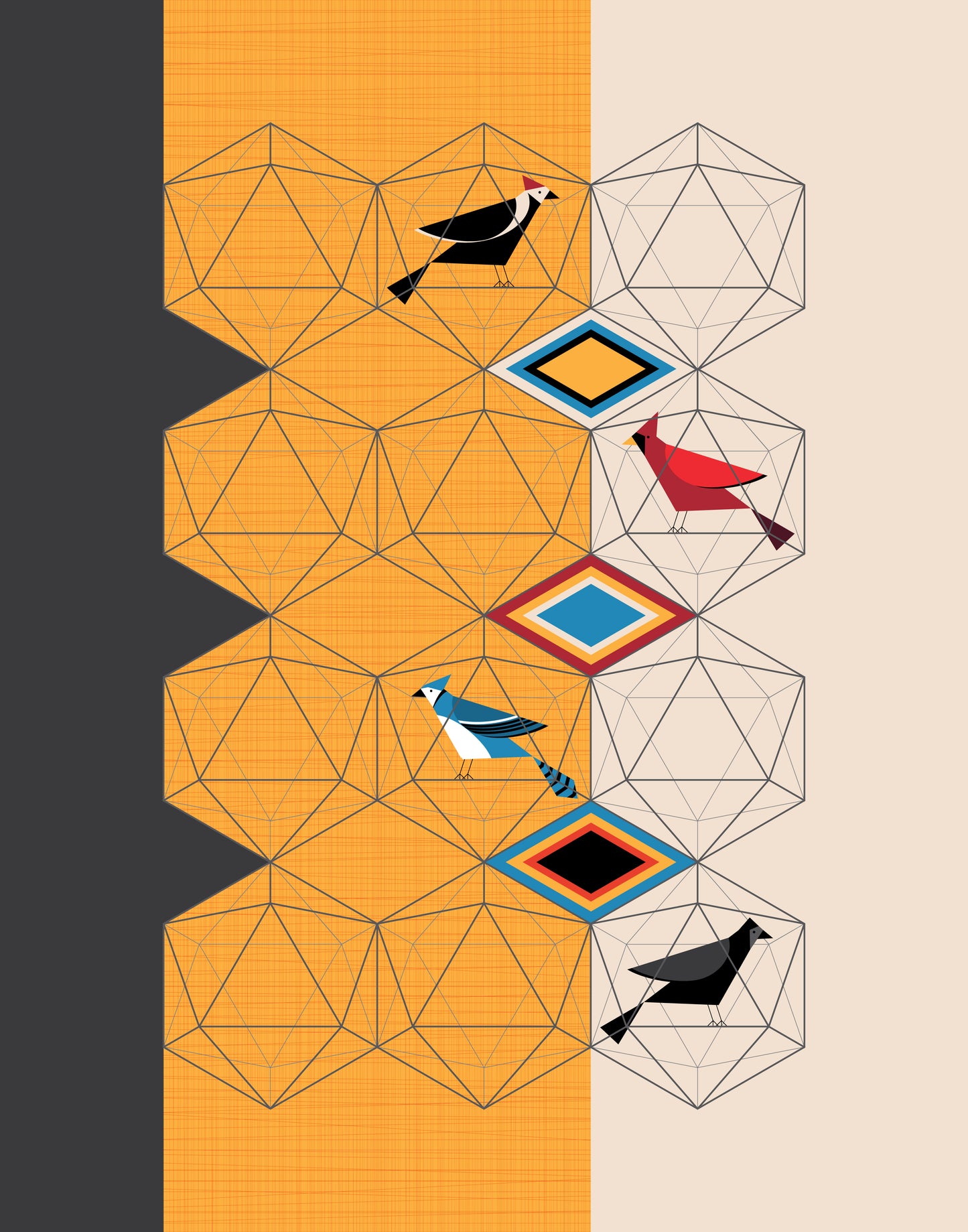 Birds in Their Icosahedrons