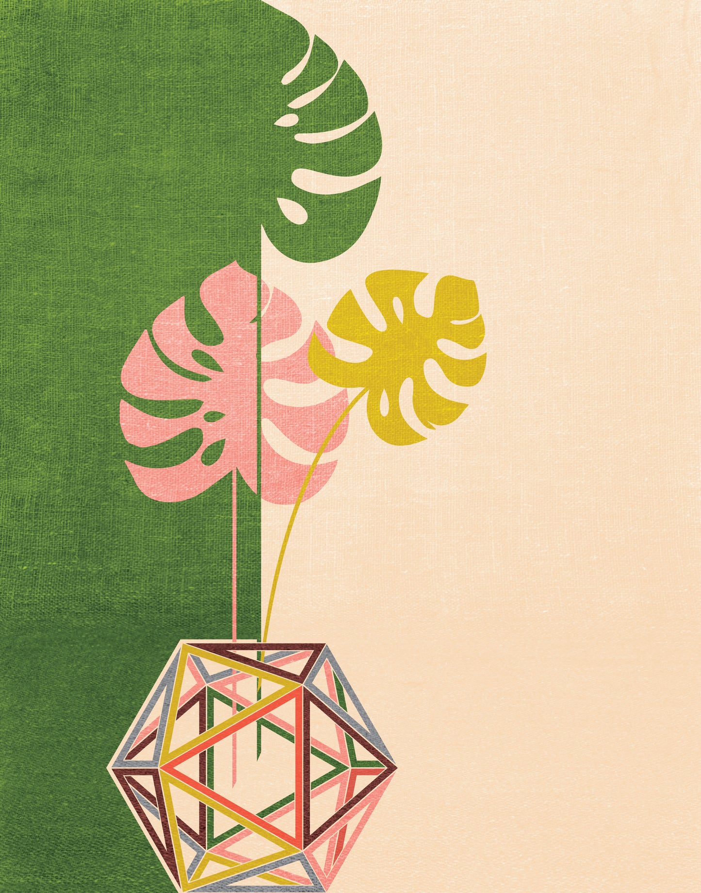 Monstera Leaves in Icosahedron