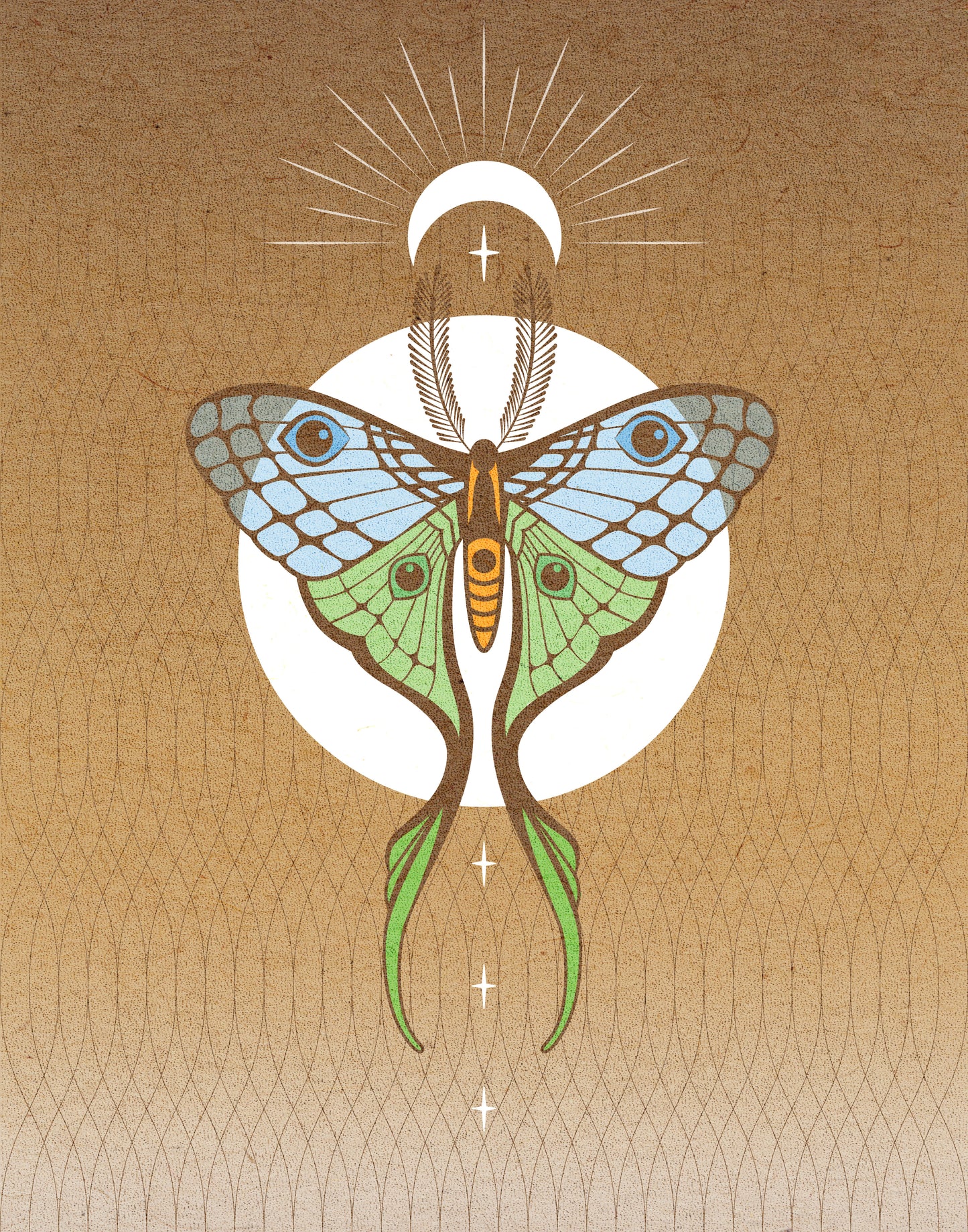 Lunar Moth