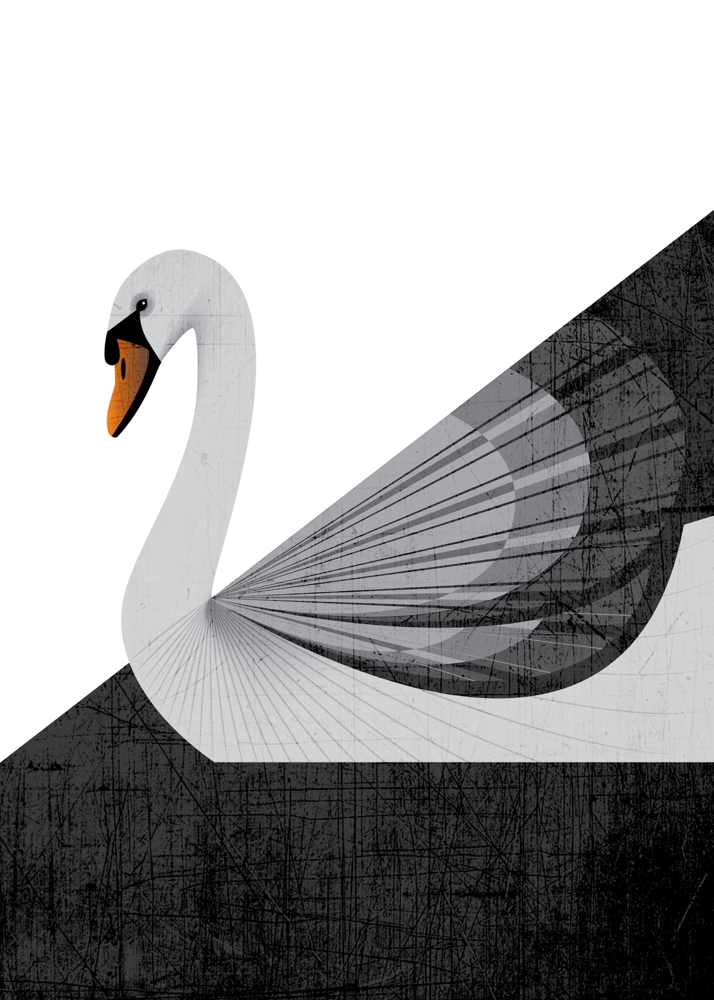 Swan