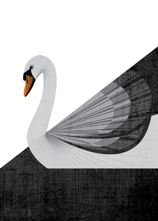 Swan