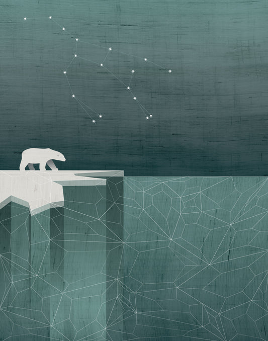 Ursa Major / Polar Bear